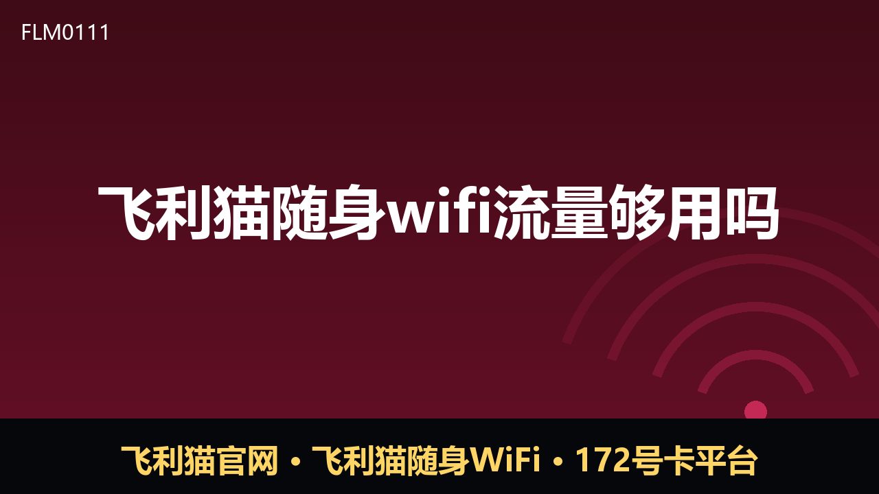 飞利猫随身WiFi流量够用吗？一文看懂真实用量
