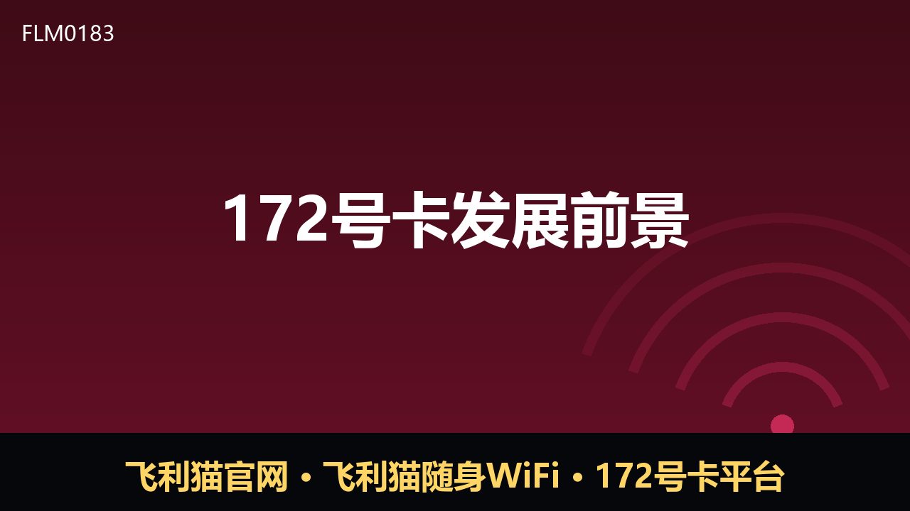 172号卡发展前景观察：流量卡市场的新变量